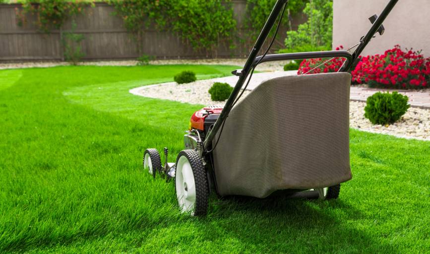 Lawn Mowing