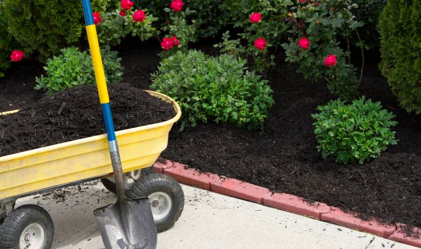 Patterson Outdoor Services