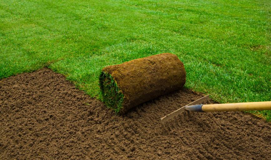 Sod Installation